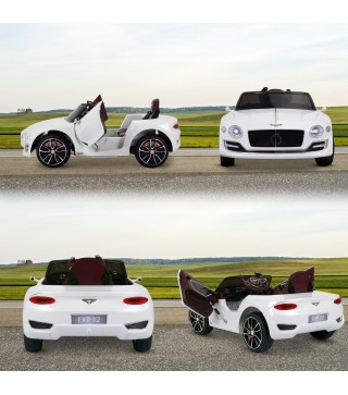 Coche Eléctrico