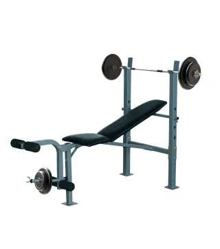 Banco de Musculación Banco de Pesas Maquina de Fitness Entrenar Musculos 165x68x114cm con Respaldo Regulable Espuma