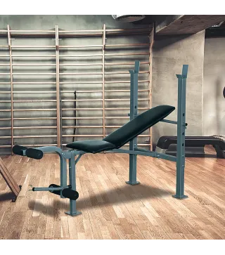 Banco de Musculación Banco de Pesas Maquina de Fitness Entrenar Musculos 165x68x114cm con Respaldo Regulable Espuma