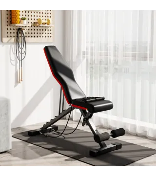 Banco de Musculación Plegable con Respaldo y Asiento Ajustables Extensión de Pierna Cojín de Predicador Banda Negro