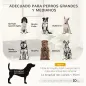 Sofá para Perros Grandes y Medianos Tapizada en Chenilla con Cojín Lavable y Patas de Madera de Pino Gris Oscuro