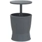 Mesa Nevera para Exterior 41 L 3 en 1 Cool Bar Mesa Auxiliar con Altura Ajustable Cubo de Hielo Tapa Elevable Gris