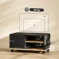 Mueble TV con Ruedas Mueble de Salón Mesa para Televisores de 42 Pulgadas con Puerta y 2 Estantes 80x45x41 cm Negro
