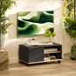 Mueble TV con Ruedas Mueble de Salón Mesa para Televisores de 42 Pulgadas con Puerta y 2 Estantes 80x45x41 cm Negro