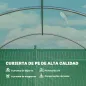 Invernadero de Túnel 6x3x2 m con Puerta con Bisagras 12 Ventanas de Malla y Estructura de Acero Galvanizado Verde