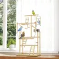 Parque de Juegos para Pájaros Soporte de Madera para Pájaros con Escaleras Columpio Cadena Bandeja Comederos