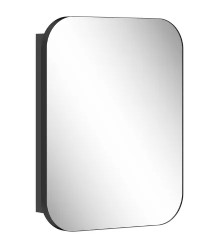 Armario de Baño con Espejo Diseño con Bordes Curvados Estantes Ajustables 40,2x10,2x50,9 cm Negro