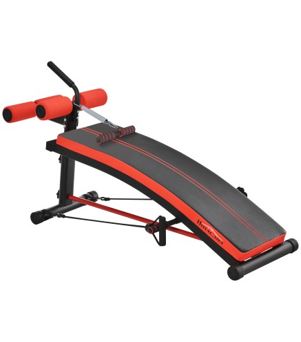 Banco de Musculación