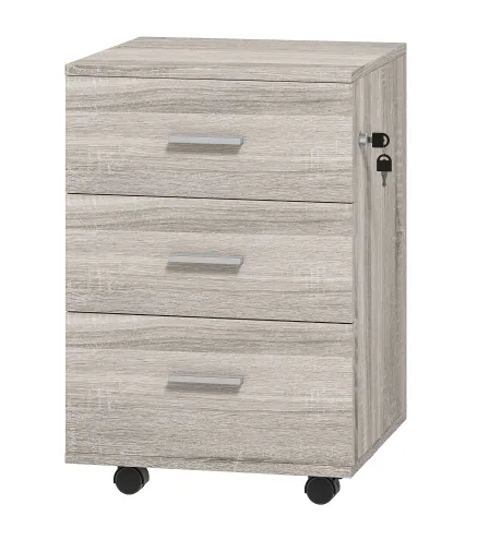 Cajonera de Escritorio con 3 Cajones Ruedas Cerradura 2 Llaves Archivador Móvil para Estudio Salón 40x40x61,5 cm Gris