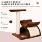 Árbol para Gatos Árbol para Gatos