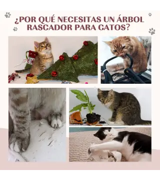 Árbol para Gatos