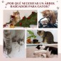 Árbol para Gatos Árbol para Gatos