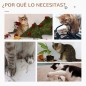 Árbol para Gatos Árbol para Gatos