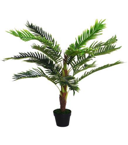 Cycas Artificial