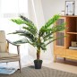 Cycas Artificial Cycas Artificial