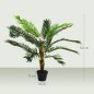 Cycas Artificial Cycas Artificial