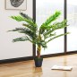 Cycas Artificial Cycas Artificial