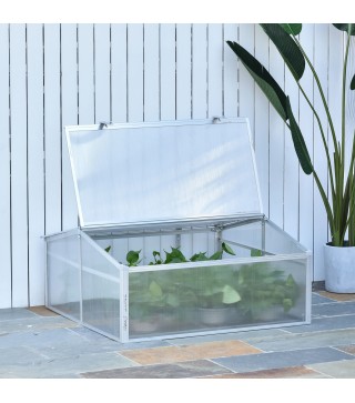 Casero Plantas