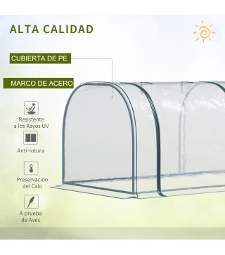 Invernadero Túnel