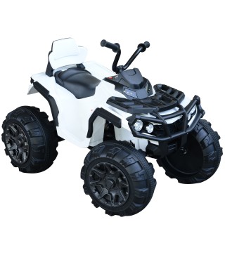 Quad de Batería