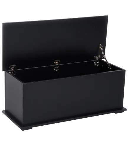 Arcón de Almacenamiento con Tapa Carga Máx. 120 kg para Dormitorio Salón 100x40x40 cm Negro