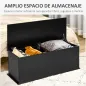 Arcón de Almacenamiento con Tapa Carga Máx. 120 kg para Dormitorio Salón 100x40x40 cm Negro
