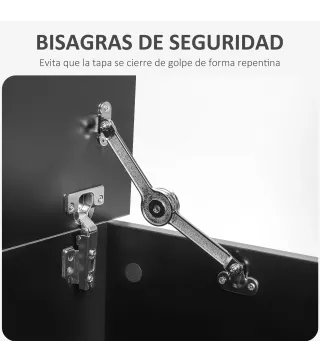 Arcón de Almacenamiento con Tapa Carga Máx. 120 kg para Dormitorio Salón 100x40x40 cm Negro