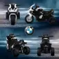 Moto Eléctrica para Niños de 18-36 Meses con Licencia BMW S1000RR con Velocidad 2,5 km/h Carga 20 kg 66x37x44 cm Negro