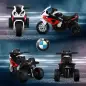 Moto Eléctrica para Niños de 18-36 Meses con Licencia BMW S1000RR con Velocidad 2,5 km/h Carga 20 kg 66x37x44 cm Rojo