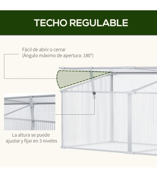 Casero Plantas