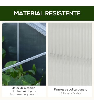 Casero Plantas
