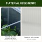 Casero Plantas Casero Plantas