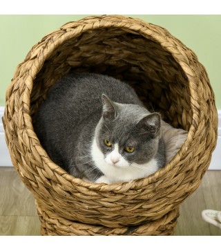 Cama para Gatos