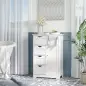 Armario Auxiliar de Baño Mueble para Baño con Puerta 4 Cajones y Estante Ajustable para Cocina Salón 56x30x83 cm Blanco