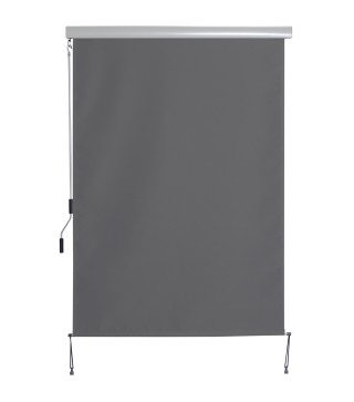 Toldo Vertical Enrollable