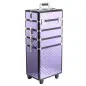 Maletín de Maquillaje Profesional con Ruedas Universales Distintos Niveles Asa Extensible Maletín Maquillaje Trolley Ale