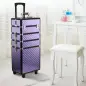 Maletín de Maquillaje Profesional con Ruedas Universales Distintos Niveles Asa Extensible Maletín Maquillaje Trolley Ale