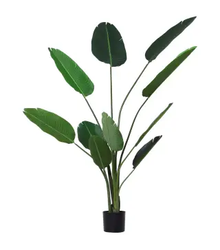 Planta Artificial