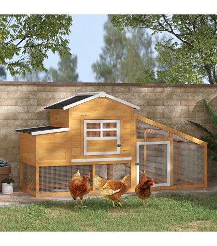 Gallinero Exterior