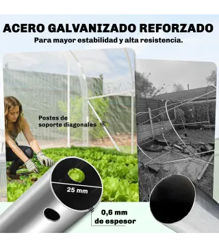Invernadero de Túnel 3x2x2 m con 2 Puertas Enrollables Estructura de Acero Galvanizado Cubierta PE Anti-UV Transparente