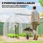 Invernadero de Túnel 3x2x2 m con 2 Puertas Enrollables Estructura de Acero Galvanizado Cubierta PE Anti-UV Transparente