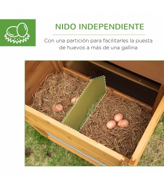 Gallinero Exterior