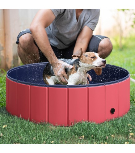 Piscina para Mascotas