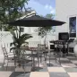 Sombrilla de Jardín Ø295x250 cm Parasol Excéntrico Inclinable con Manivela Base Cruzada y Soporte de Metal 8 Varillas para Terra