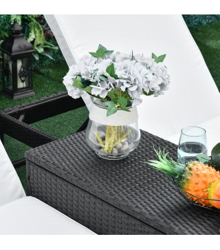 Conjunto 2 Tumbonas y 1 Mesa de Ratán