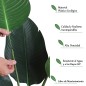 Planta Artificial Planta Artificial