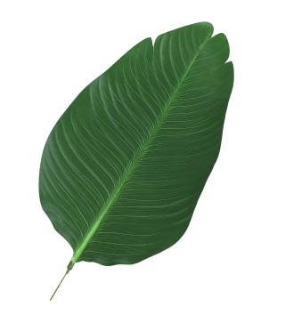 Planta Artificial