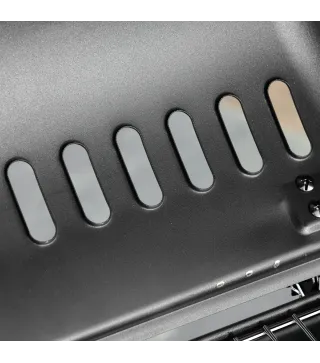 Barbacoa de Gas con 2 Quemadores 5,6 KW 2 Ruedas 2 Mesas Laterales y Parrillas de Acero 104x49x99 cm Negro