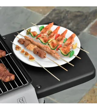 Barbacoa de Gas con 2 Quemadores 5,6 KW 2 Ruedas 2 Mesas Laterales y Parrillas de Acero 104x49x99 cm Negro