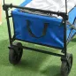 Carro Plegable con Toldo Desmontable Longitud y Ángulo del Mango Ajustables y Bolsa de Transporte Carga 100 kg Azul